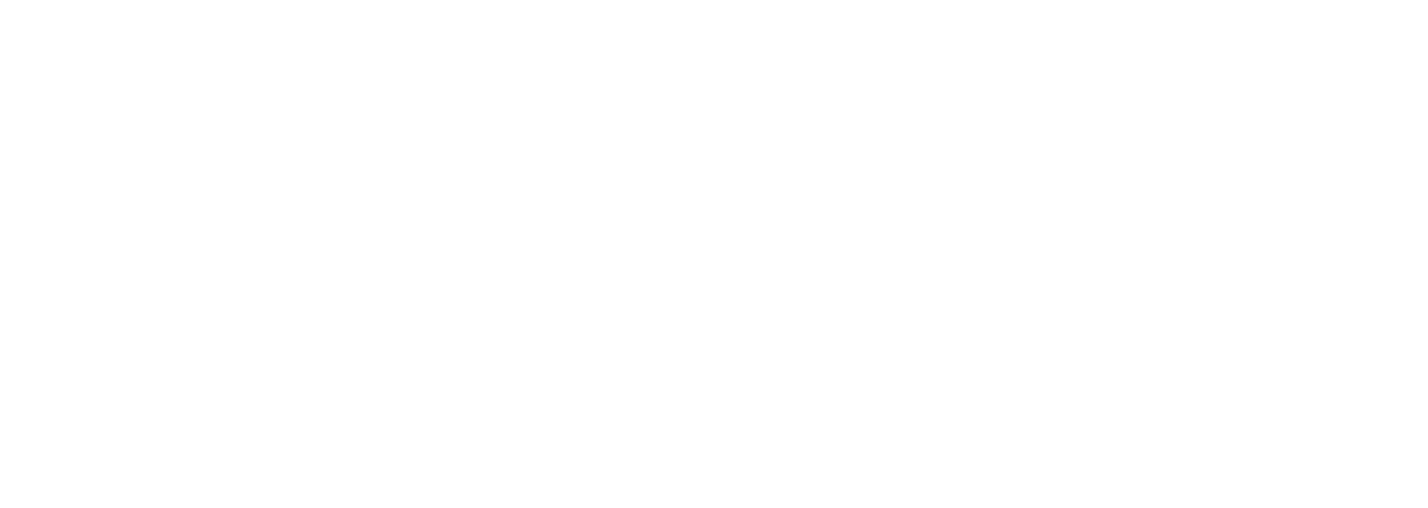 NPA Logo
